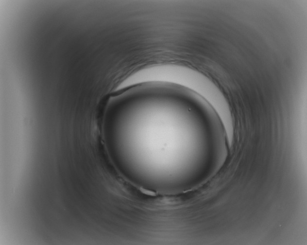 X0000115450320200911121159