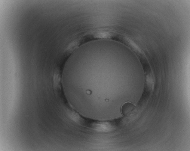 X0000115450322200911121159