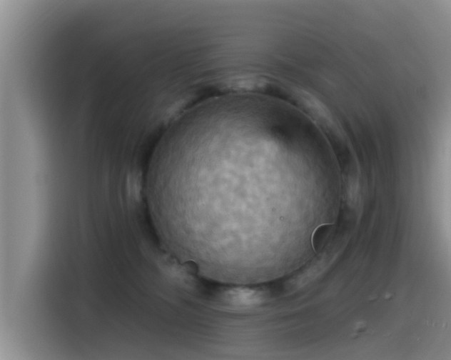 X0000115450326200911121159