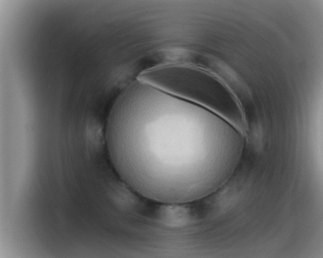 X0000115450327200911121159