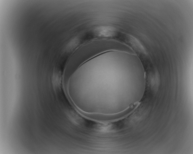 X0000115450328200911121159