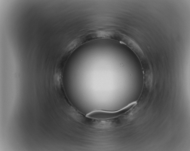 X0000115450329200911121159