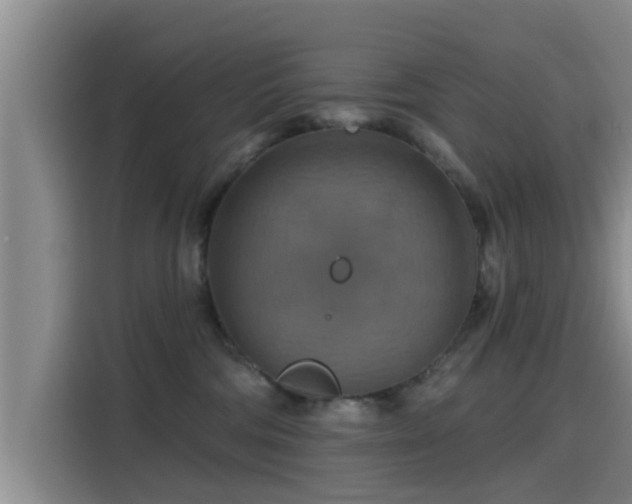 X0000115450330200911121159