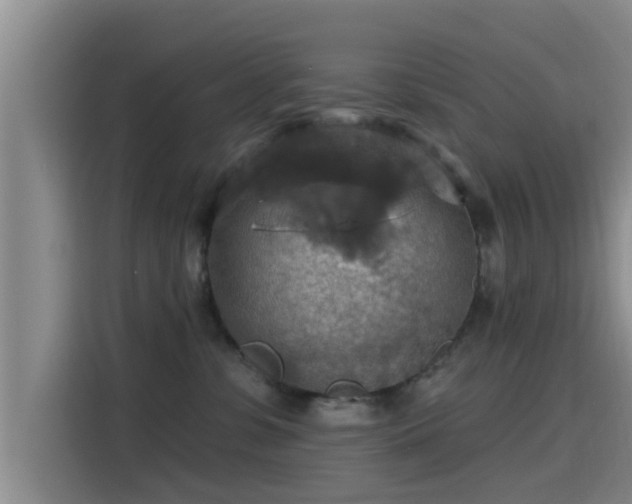 X0000115450331200911121159