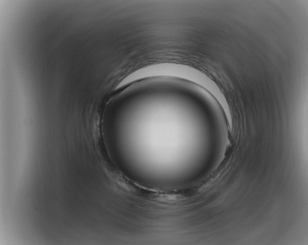 X0000115450332200911121159