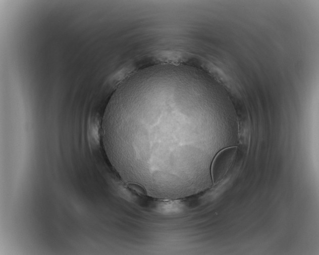 X0000115450334200911121159