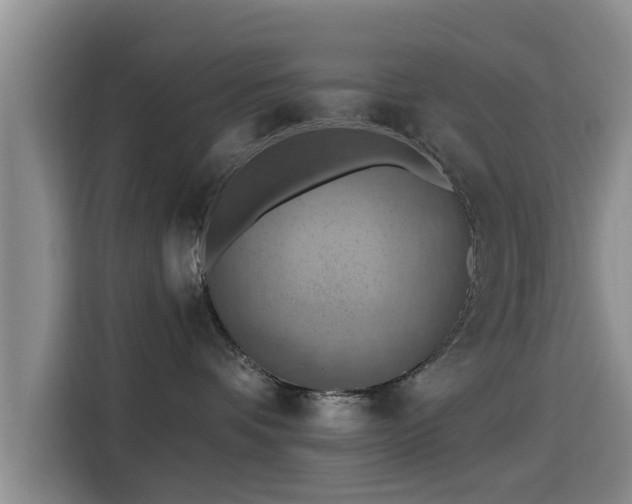 X0000115450336200911121159