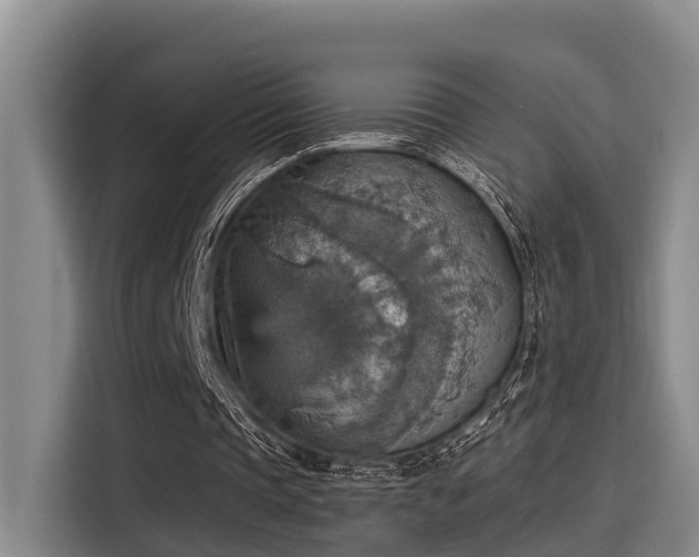 X0000115450337200911121158