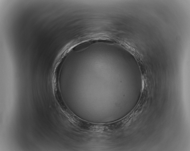 X0000115450339200911121158