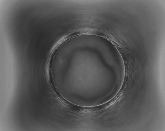 X0000115450341200911121158