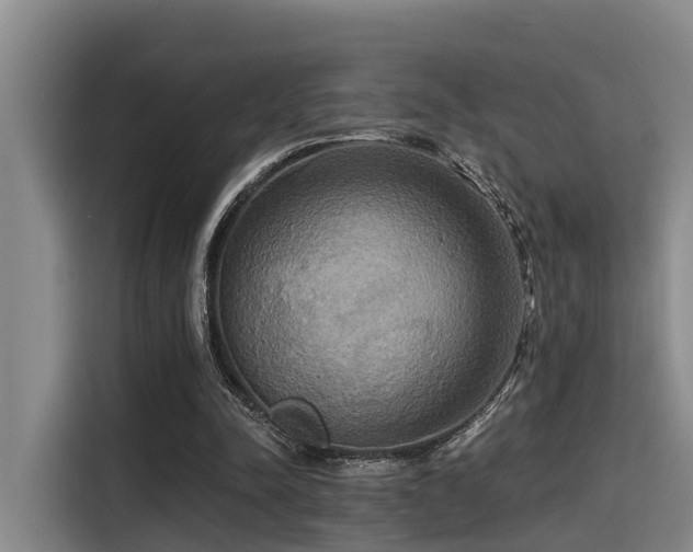 X0000115450342200911121158