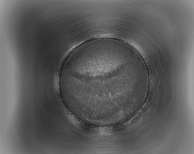 X0000115450345200911121158