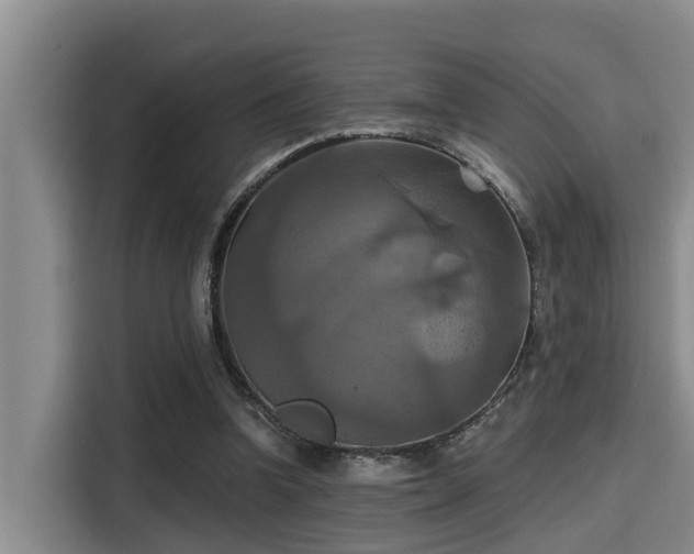 X0000115450346200911121158