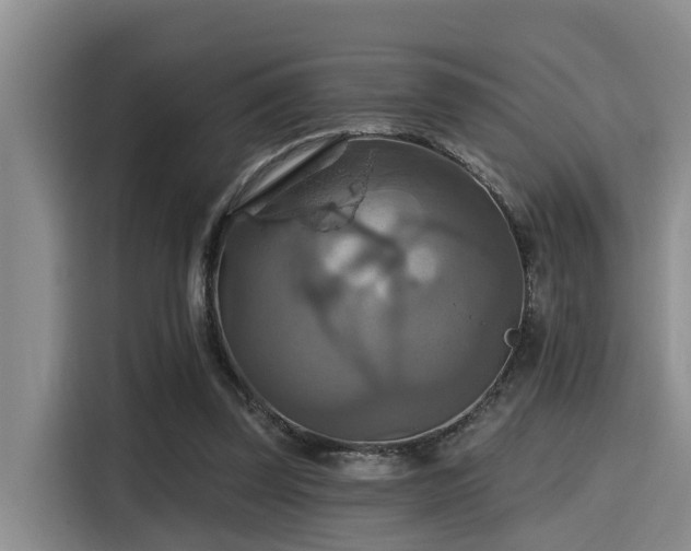 X0000115450347200911121158