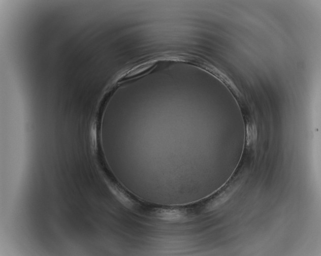 X0000115450349200911121158