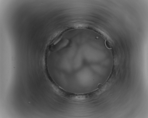 X0000115450353200911121158