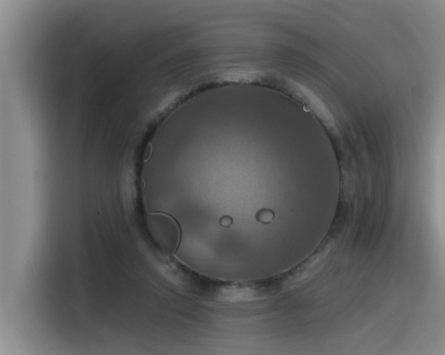 X0000115450354200911121158