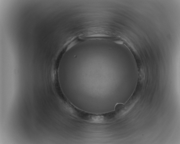 X0000115450355200911121158