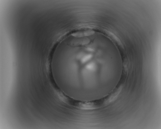 X0000115450359200911121158