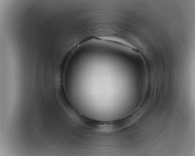 X0000115450362200911121158