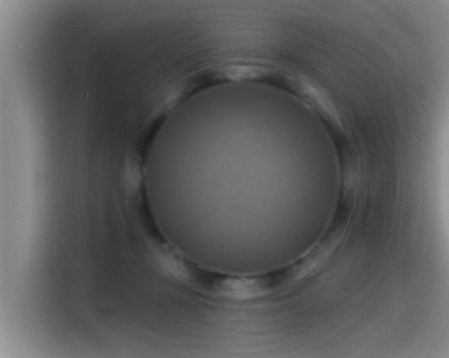 X0000115450367200911121158