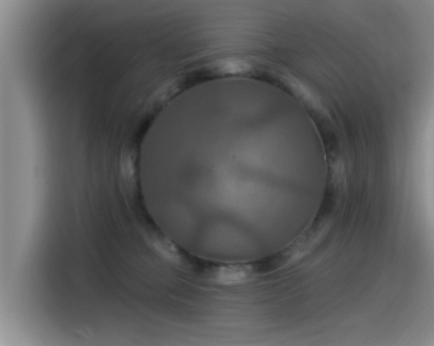 X0000115450373200911121158