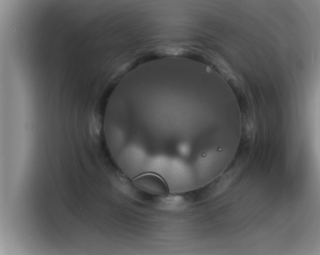 X0000115450374200911121158