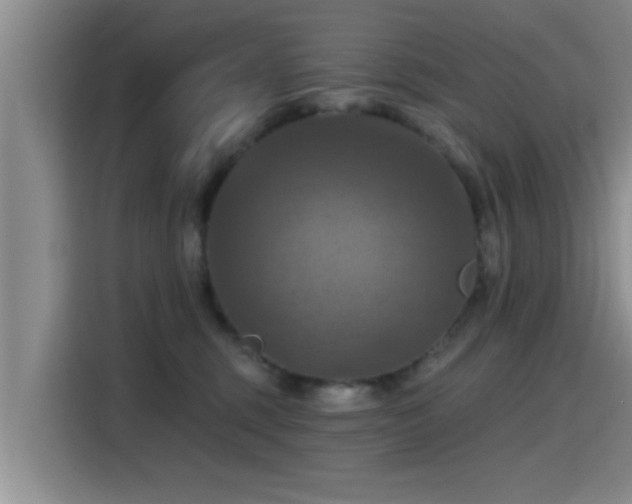 X0000115450375200911121158