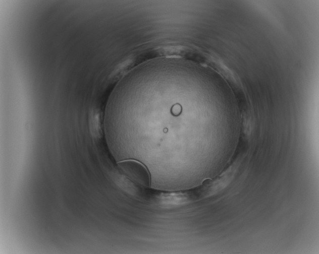 X0000115450378200911121158