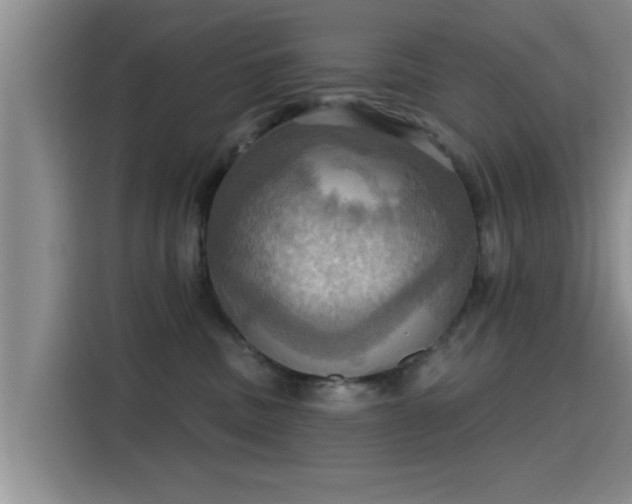 X0000115450379200911121158