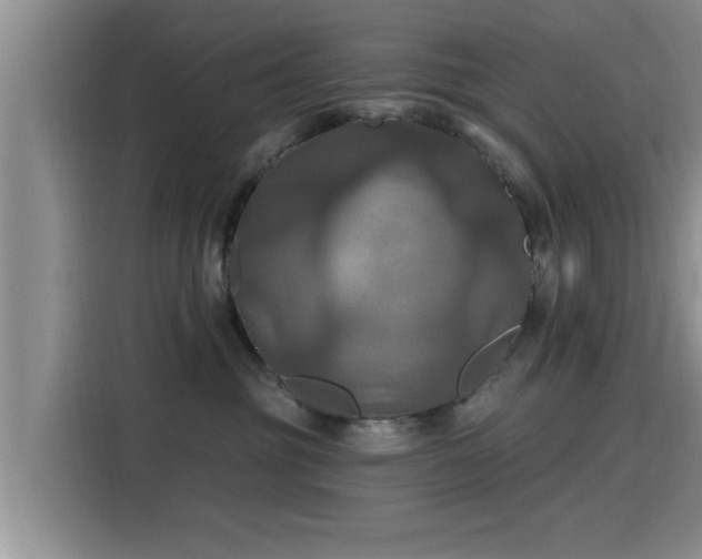 X0000115450381200911121158