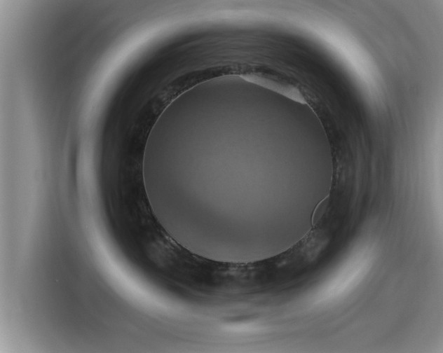 X0000115450383200911121158