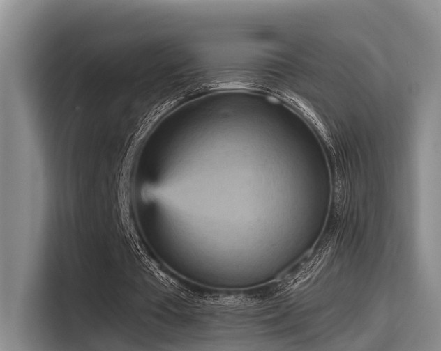 X0000115450385200911121158