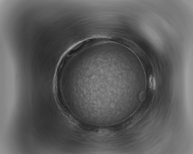 X0000115450388200911121158