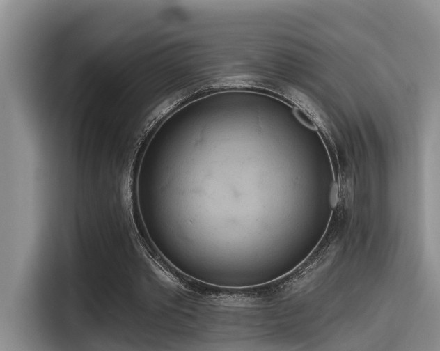 X0000115450389200911121158