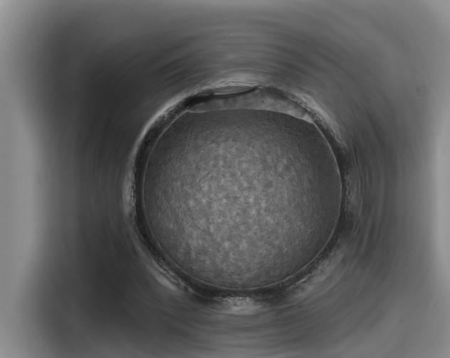 X0000115450392200911121158