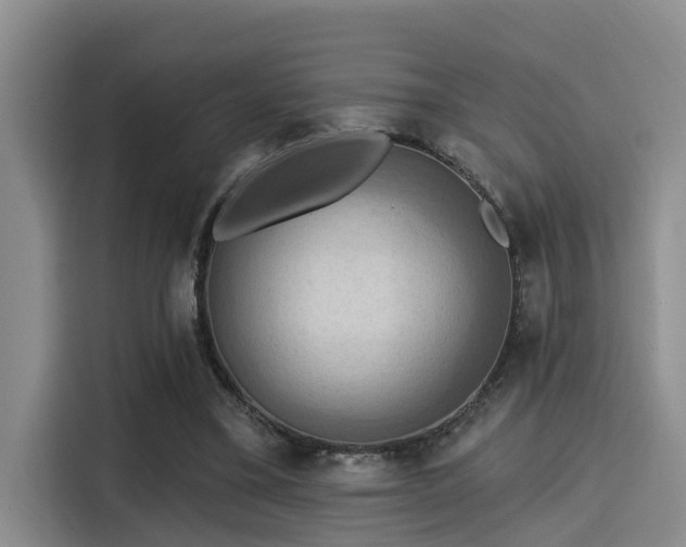 X0000115450395200911121158