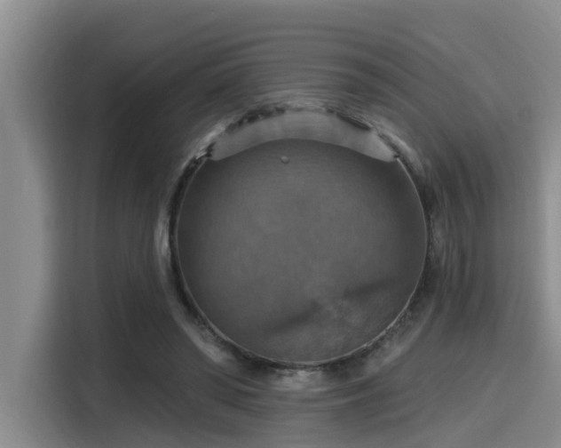 X0000115450398200911121158