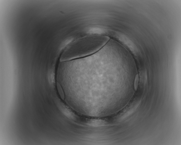 X0000115450399200911121158