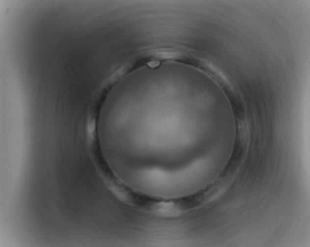 X0000115450406200911121158