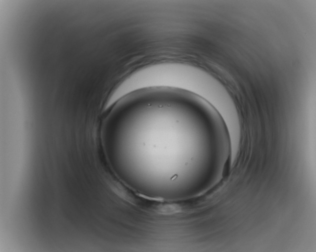 X0000115450409200911121158