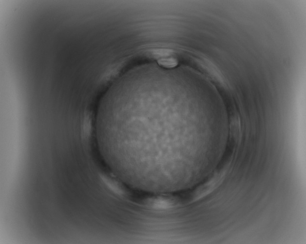 X0000115450412200911121158