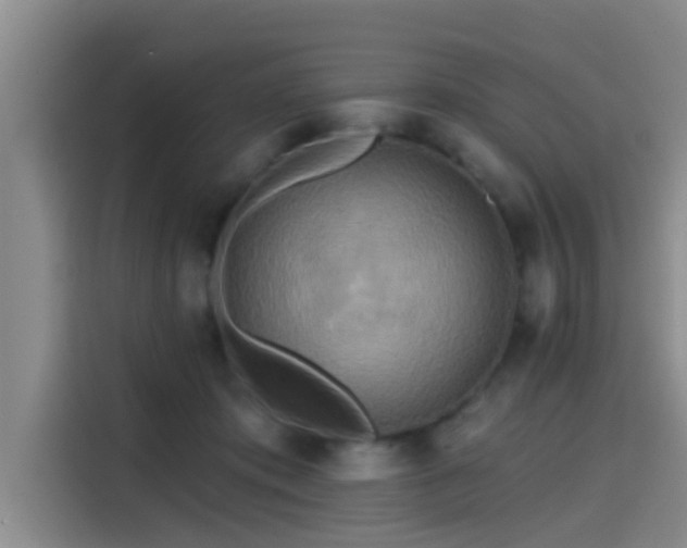 X0000115450413200911121158