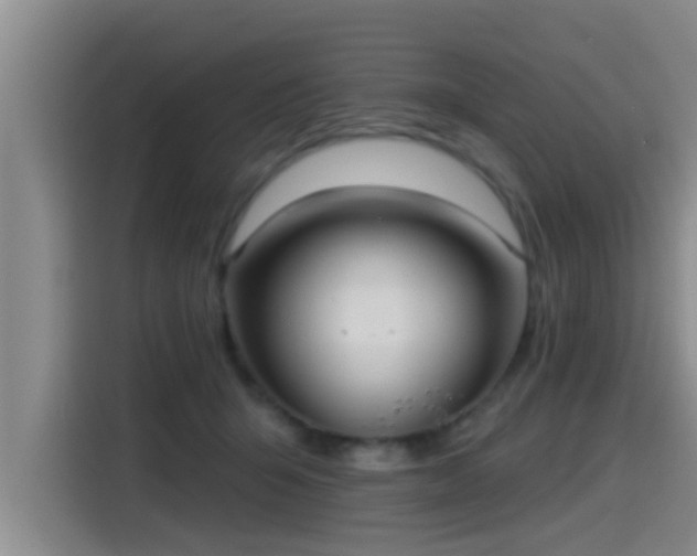 X0000115450415200911121157