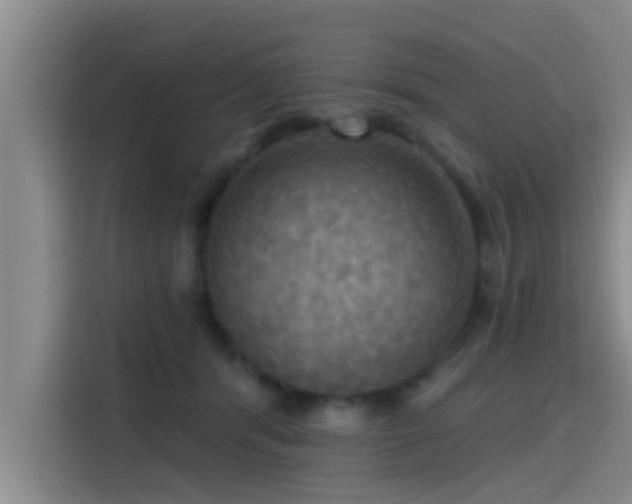 X0000115450416200911121157