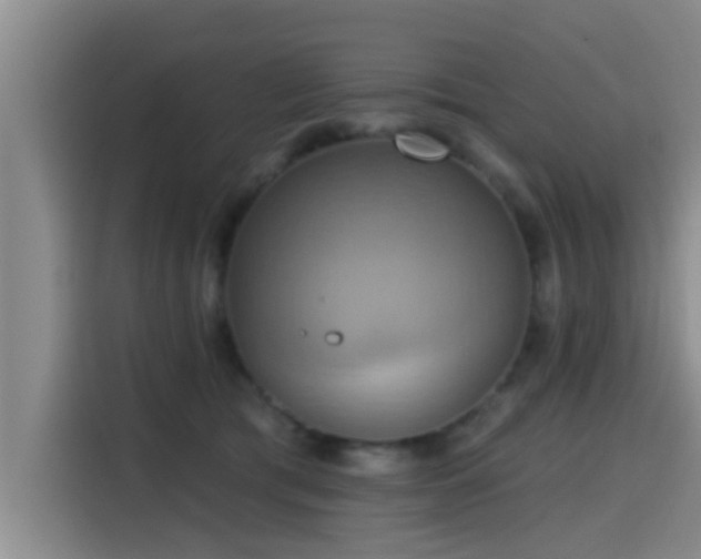 X0000115450417200911121157