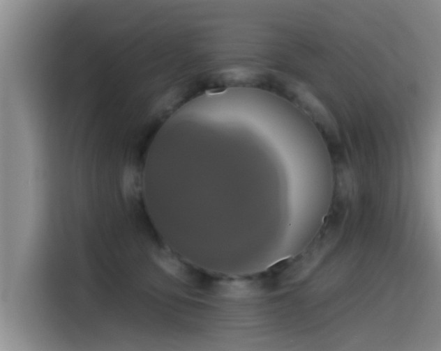 X0000115450419200911121157