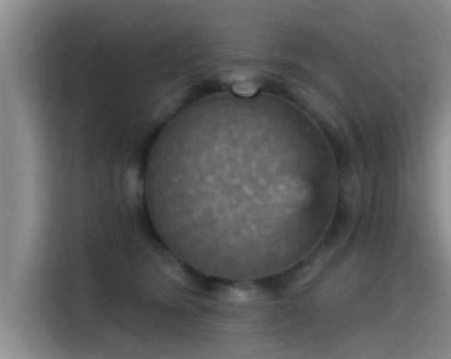 X0000115450420200911121157