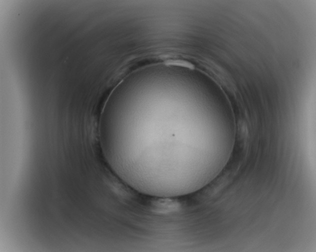 X0000115450421200911121157