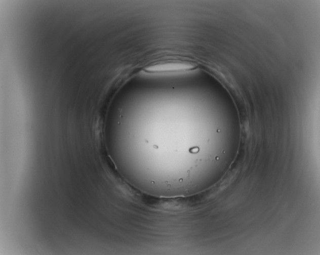 X0000115450423200911121157